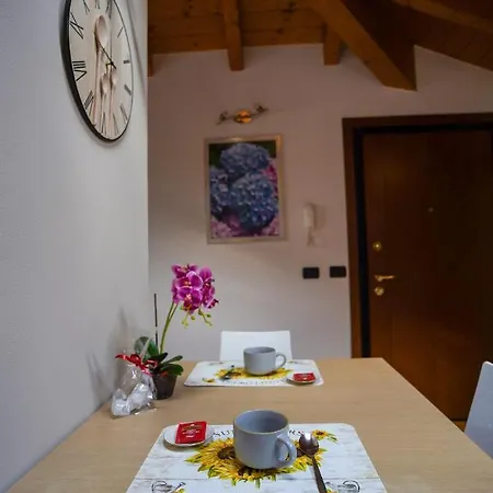 Ortensia - Radice Comfort - Leonardo, Mxp & Laghi Sesto Calende